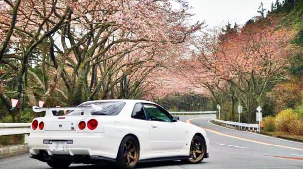 今年の桜は東京が一番！全国の桜開花日・満開日の予想を発表