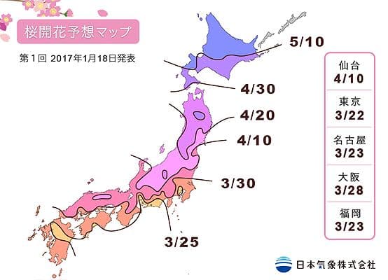 全国の桜開花予想マップ