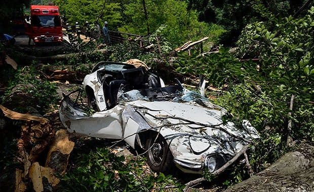 倒木直撃事故にあった「トヨタ 2000GT 」修理額は2億円で修理断念し部品売却へ