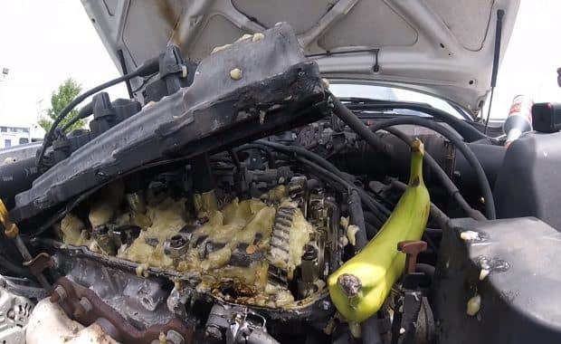 エンジンオイル交換でオイルの代わりにバナナをぶち込んで全開に回してみた