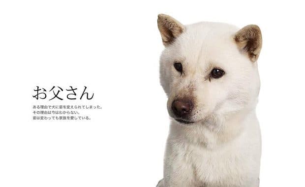 【訃報】ソフトバンクCMで有名な白い犬「カイ」が老衰のため16歳で死去