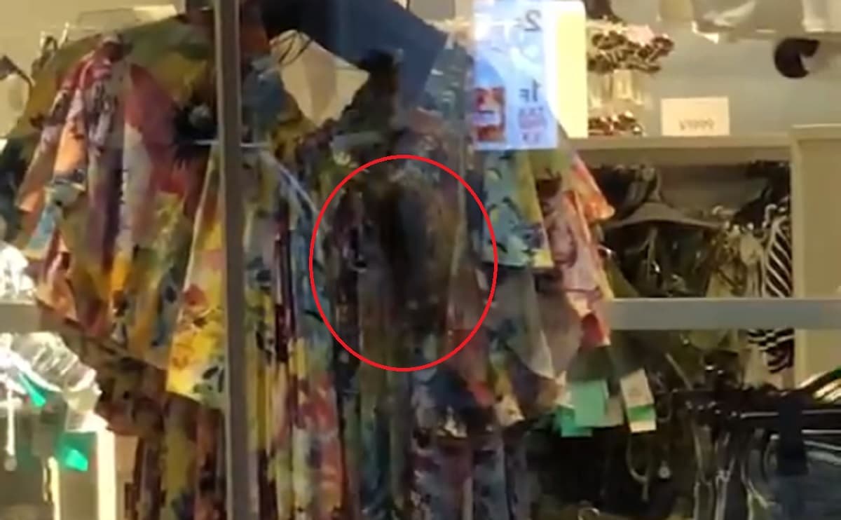 東京・渋谷のH&Mでネズミが商品の服に潜り込んで試着！街自体が汚すぎてネズミの楽園に